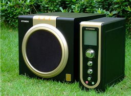 經(jīng)典再續(xù) 現(xiàn)代音響hy 9500f新裝上市